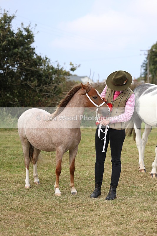 3E7A5431 - Class 19: Best Coloured in Hand