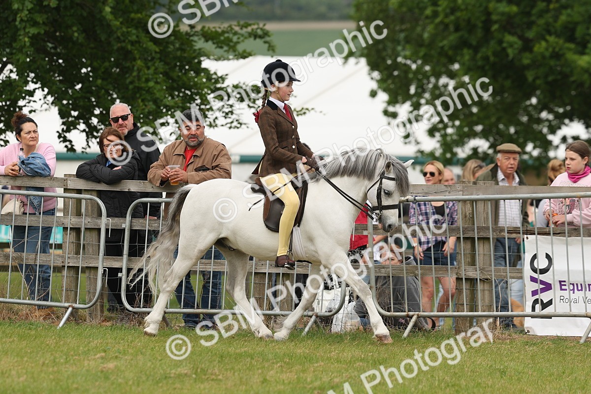 SBM_07085 - Class 76-77 - Ridden M&M Welsh Ponies