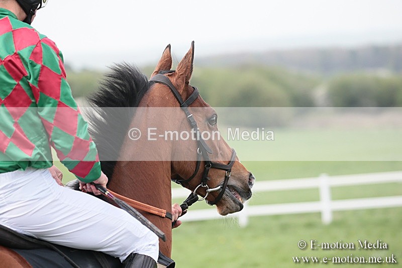 PtP 210418 316 - South & West Wilts Point-to-Point Larkhill 21/04/18