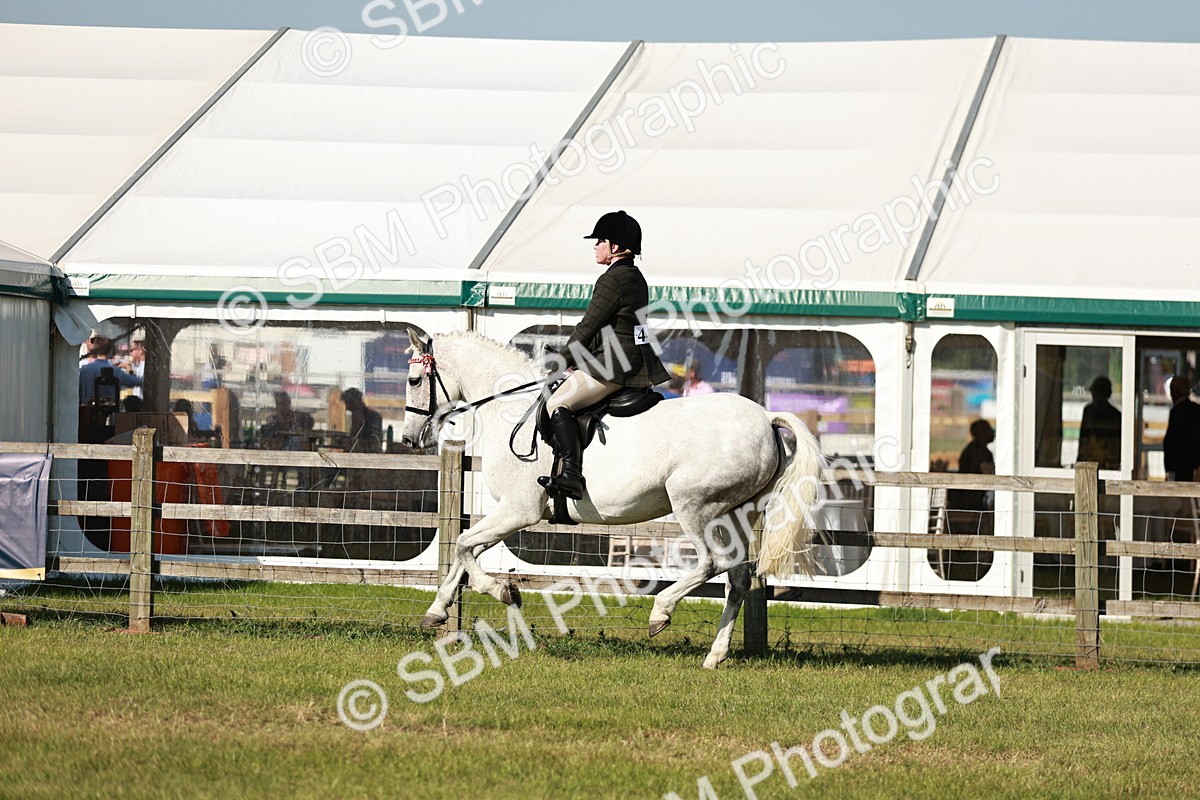 SBM_19249 - Class 115-116 - LIHS BSHA Rising Star Working Hunter & Show Horse