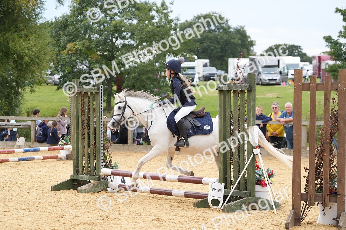 SBM_71727 - J3 - Mini Tour Junior Pony 40cm Championship