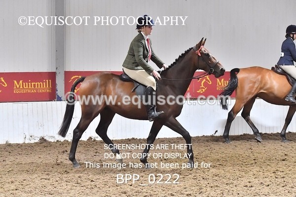 BPP_0222 - RING 2