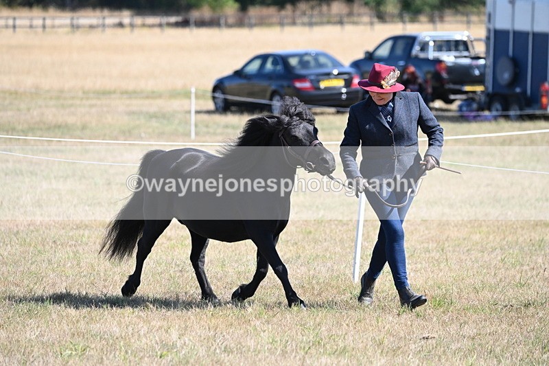 WJ6_4504 - Class 17 Mountain & Moorland