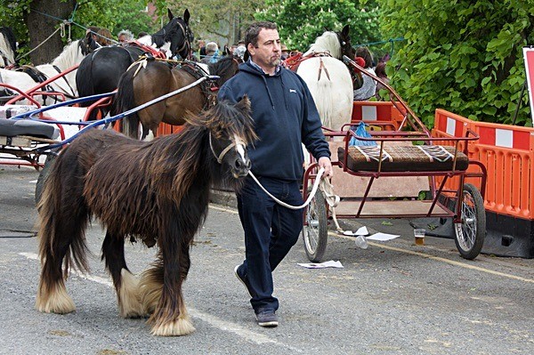  - Appleby Horse Fair
