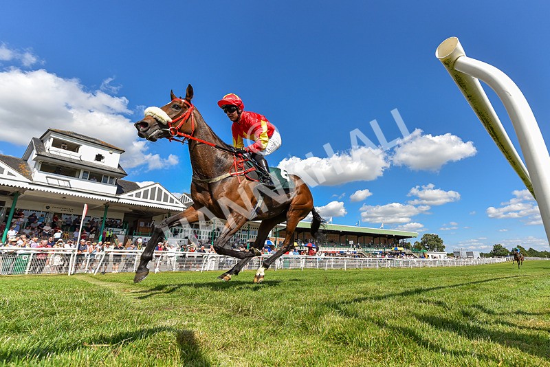 080726-Race 5-Sugarpiehoneybunch-2257 - Race 5 16.00pm Bet At racingtv.com Handicap