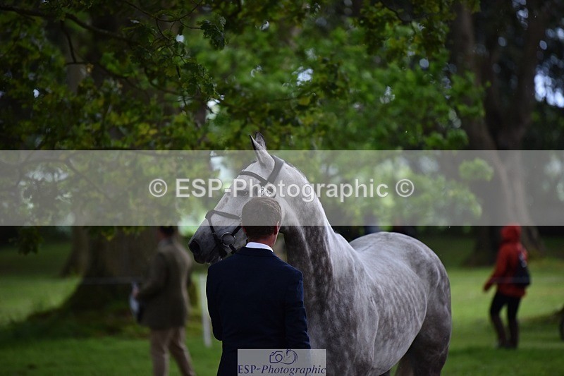 240522-150732-00101 - 369-STARMAN_III-Matthew_Hecking