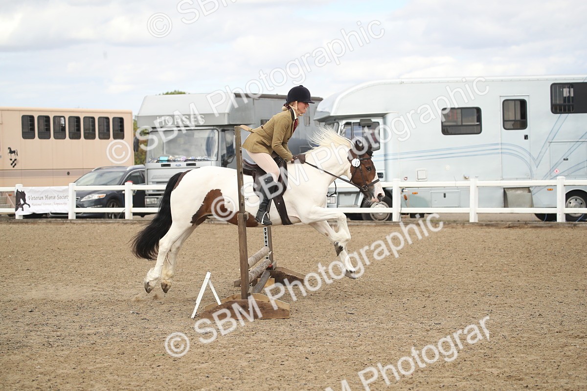 SBM_15224 - Class 506a - Working Veteran - 50cm (15-19)