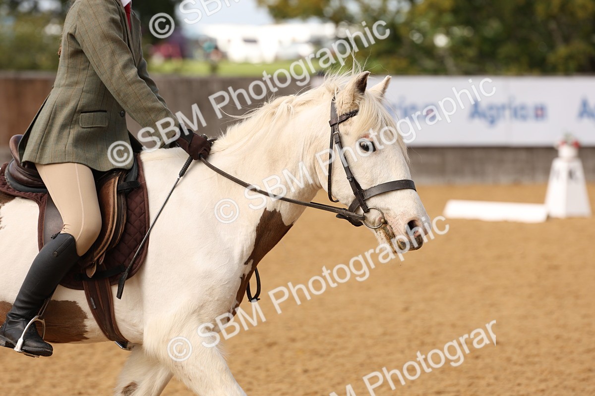 SBM_07325 - D30 - Small Tour PYO Open