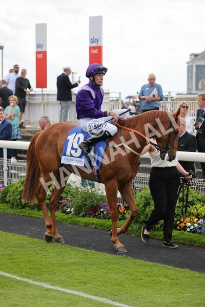 yr11062022r5-9 - Race 5 3.40pm The Pavers Foundation Catherine Memorial Sprint Stakes