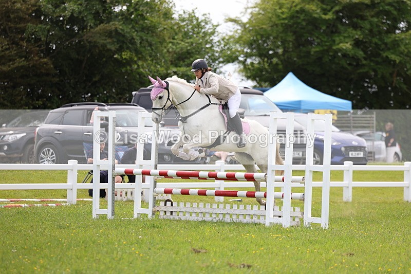 3E7A1664 - Class 13: Senior British Novice/90cm open
