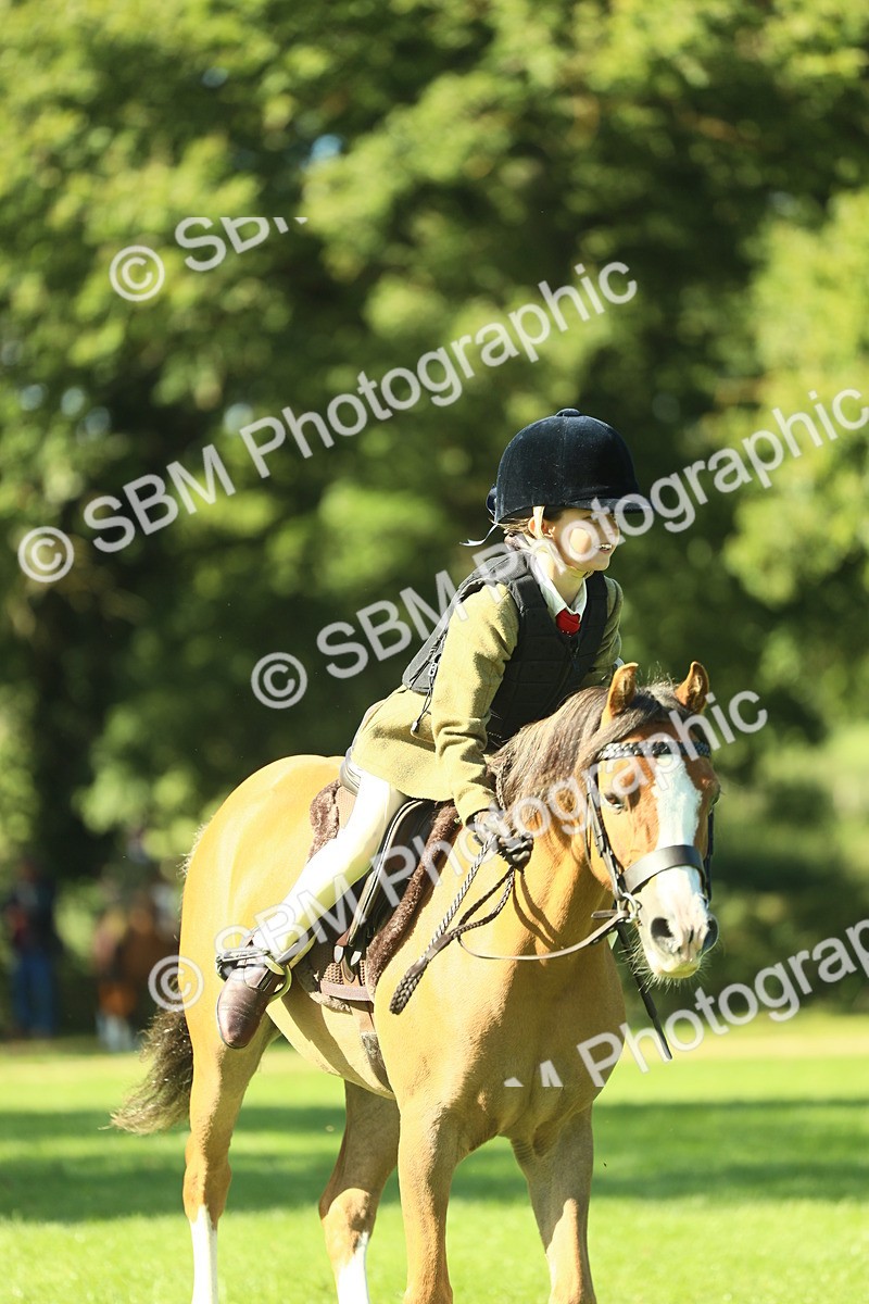 SBM_37431 - S29 - Novice & Newcomers Working Hunter Pony