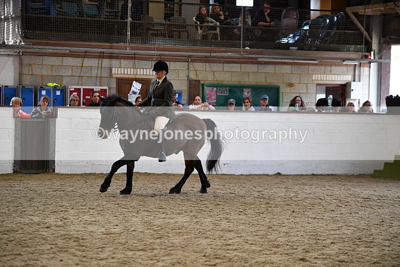 WJ5_6184 - Class 9 Ridden Veteran