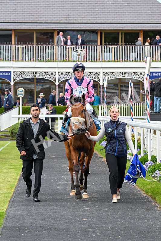 150526-Race 1-Zarathos-7024 - Race 1 1.45pm Yorkshire Equine Practice Handicap