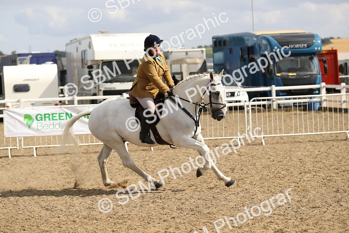 SBM_06849 - Class 49a Style & Performance 80cm (15-19)