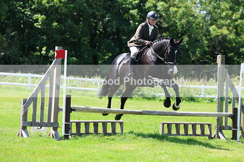 3E7A6997 - Class 30: Novice Working Hunter