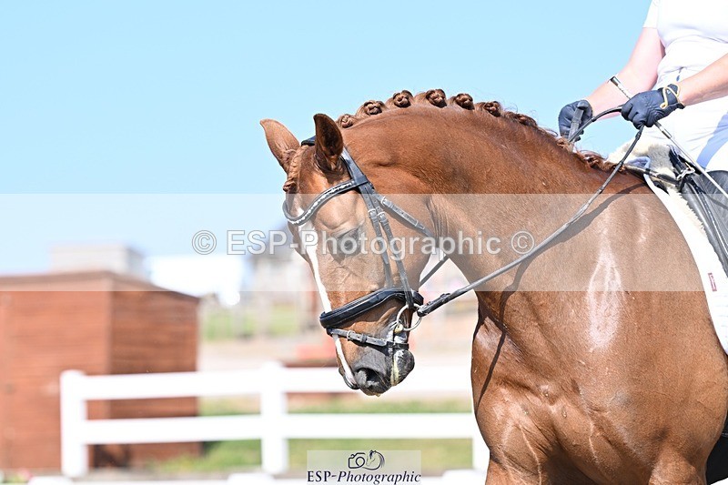 250620-163245-05354 - BD Cls 13 - Adv Medium 5