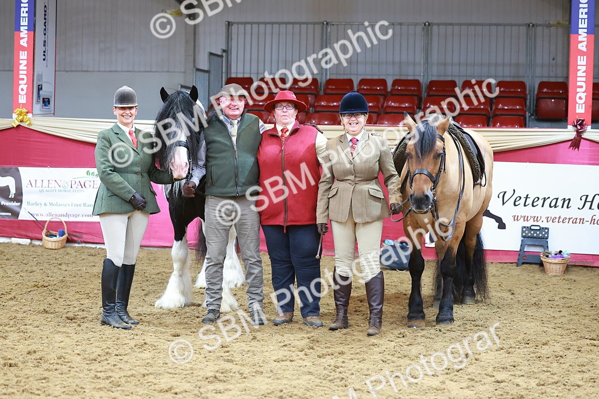 SBM_09543 - Class 102 - HOYS Veteran Qualifier - Ridden Veteran