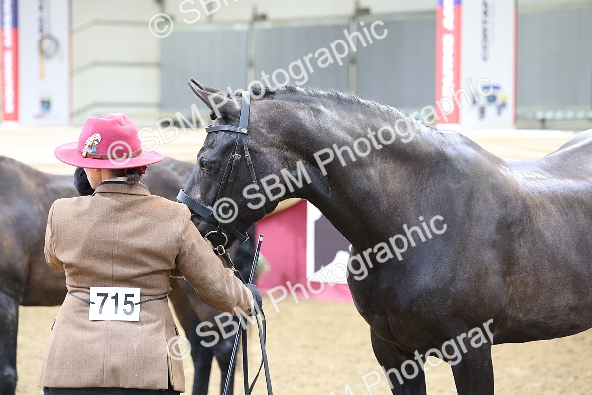 SBM_21843 - Class 901 - Supreme Final - IH  Diamond