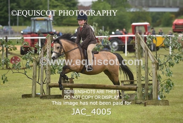 JAC_4005 - 40CM WORKING HUNTER