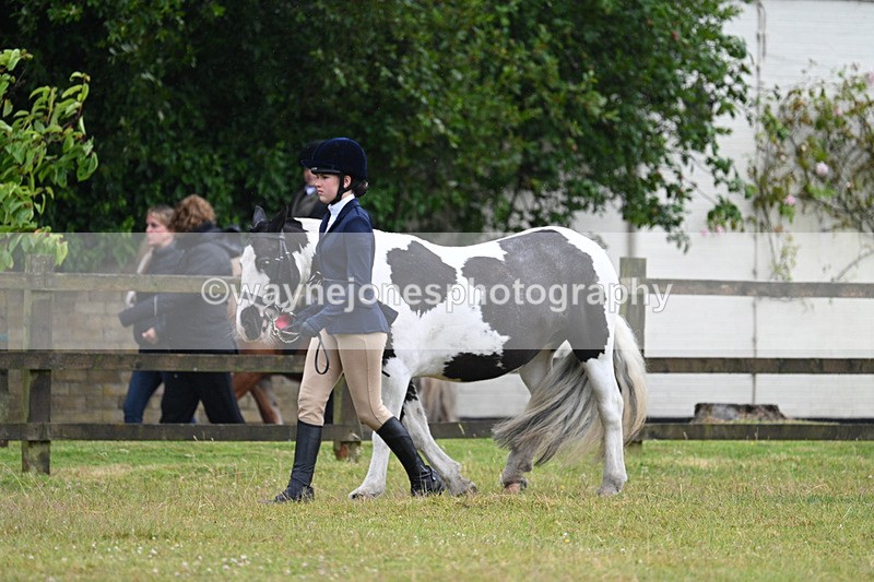 WJ7_5860 - Class 4 Prettiest Mare in Hand
