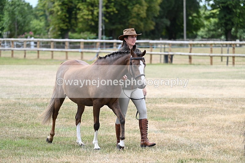 WJ7_1441 - Class 4 Prettiest Mare up to 14.2hh in hand