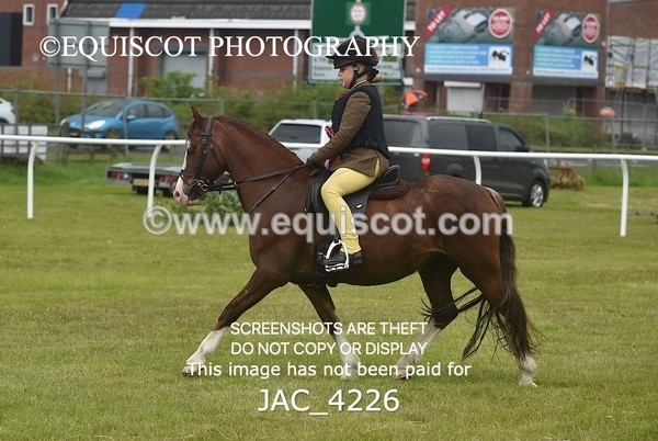 JAC_4226 - WORKING HUNTER CHAMPIONSHIP
