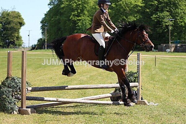 IMG_3723 - Working Hunter