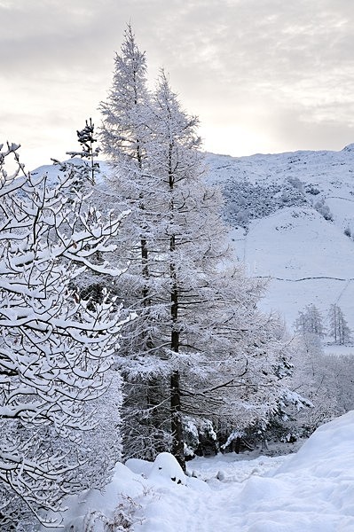 lll0083 - South Lakes