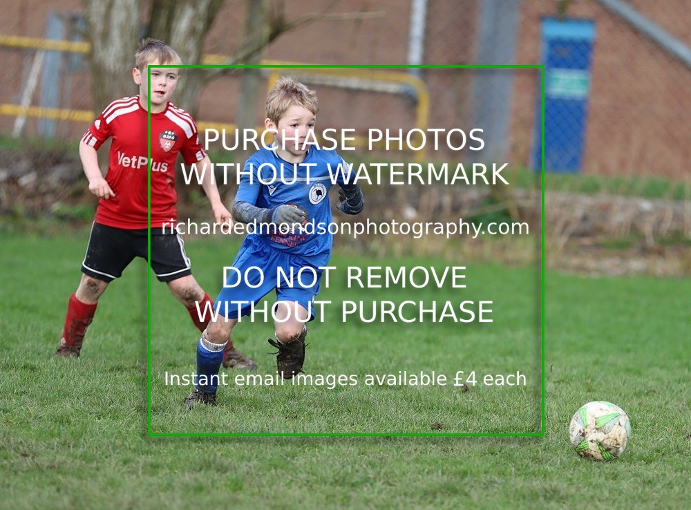 IMG_7503 - Ibis Under 8's vs Grange Utd Under 8's (Saturday 24 February 2024)