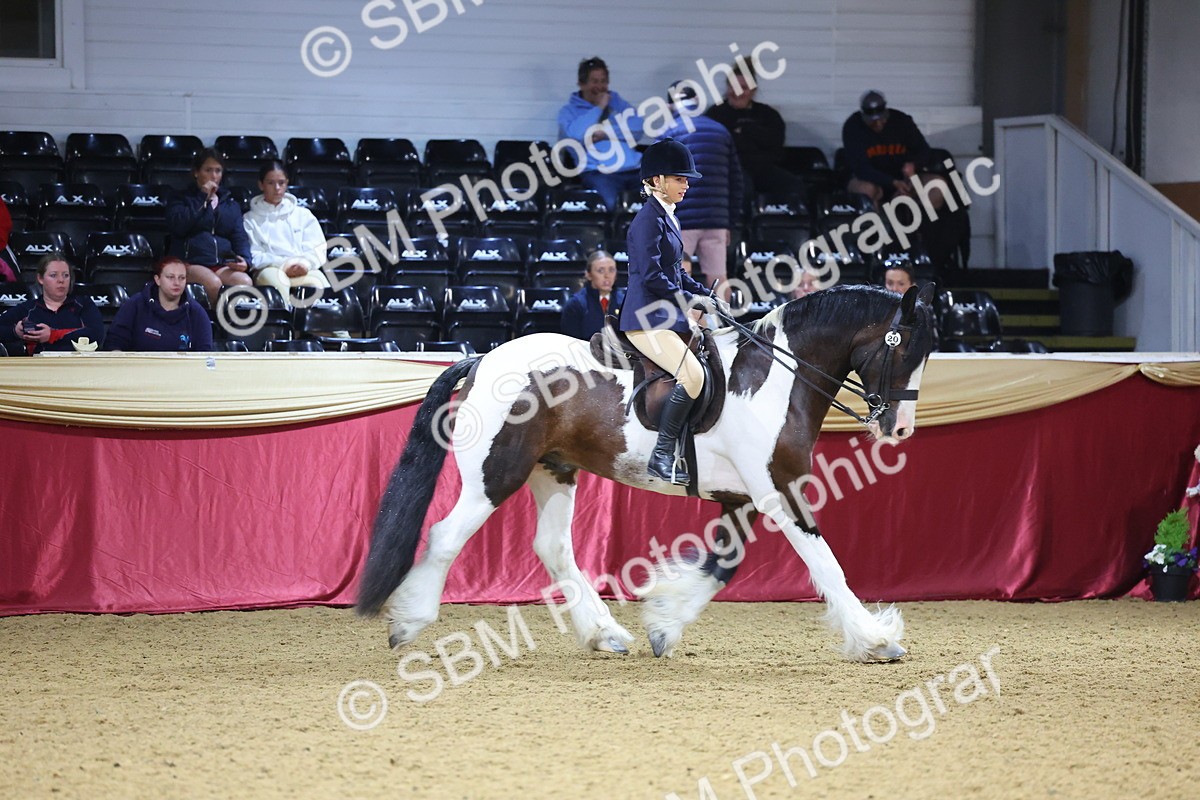 SBM_18565 - Class B Junior Champ 11-16 years