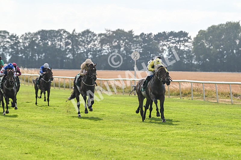 150825-Race 1-Alaminos-2349 - Race 1