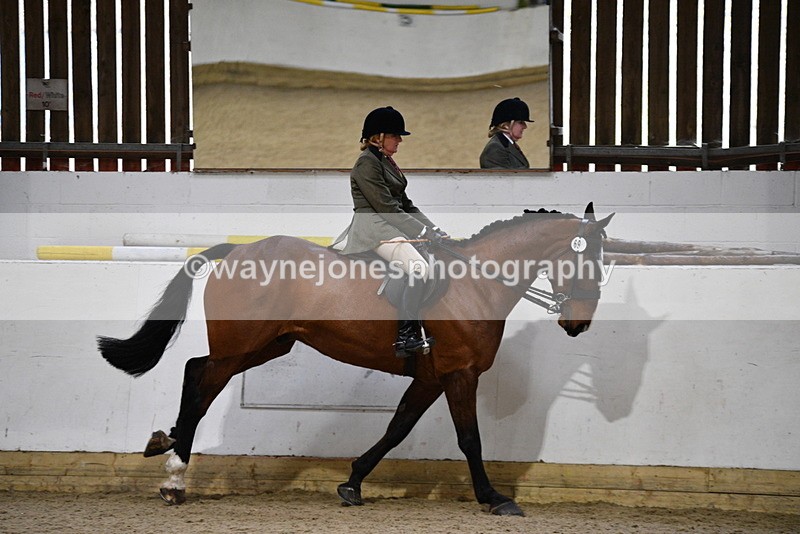 WJ5_9020 - Class 15 Ridden Show Horse