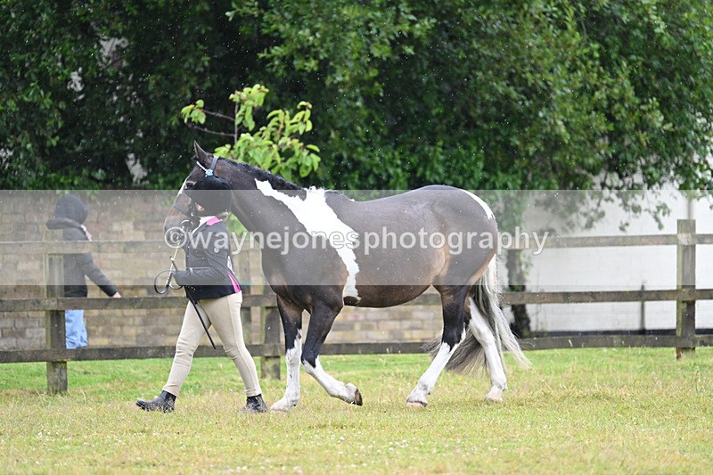 WJ7_5724 - Class 4 Prettiest Mare in Hand