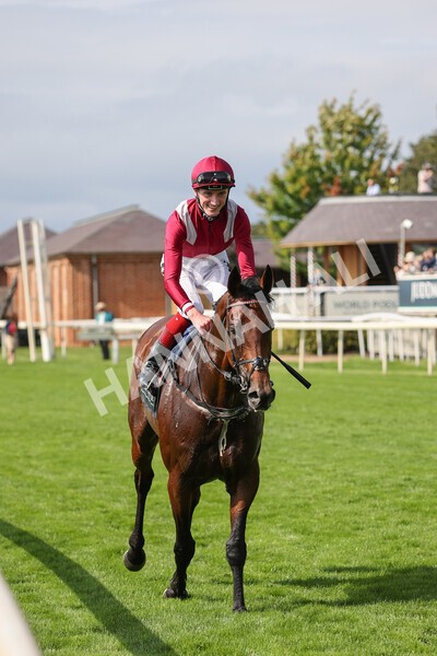 yr18082021r4-100 - Race 4 3.35pm Juddmonte International Stakes (British Champion Series race)