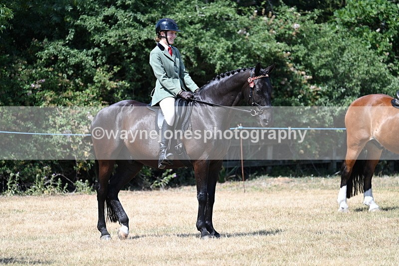 WJ7_3554 - Class 8 Ridden Veterans