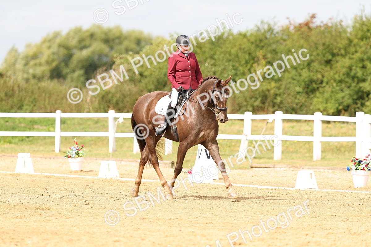 SBM_012526 - class 5 - Elementary 53 - 12.00-13.08