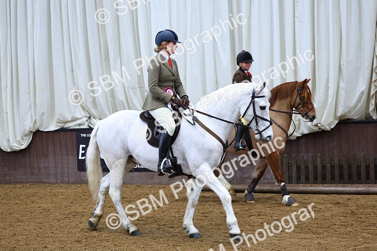 SBM_003714 - Class 37 - 80cm Training Stakes