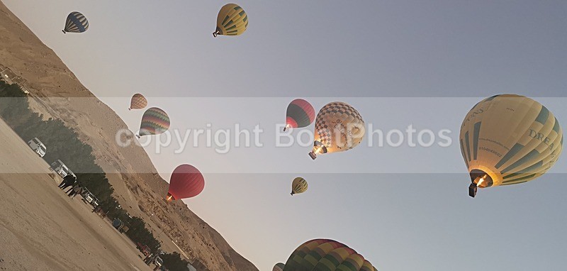 IMG_20241120_060221 - Egypt