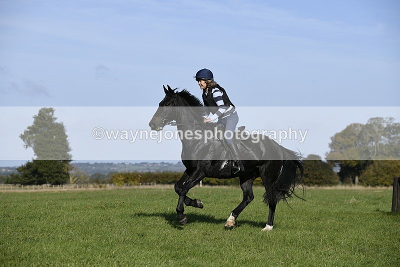 _DSC4411 - Time 09:57 to 10:26