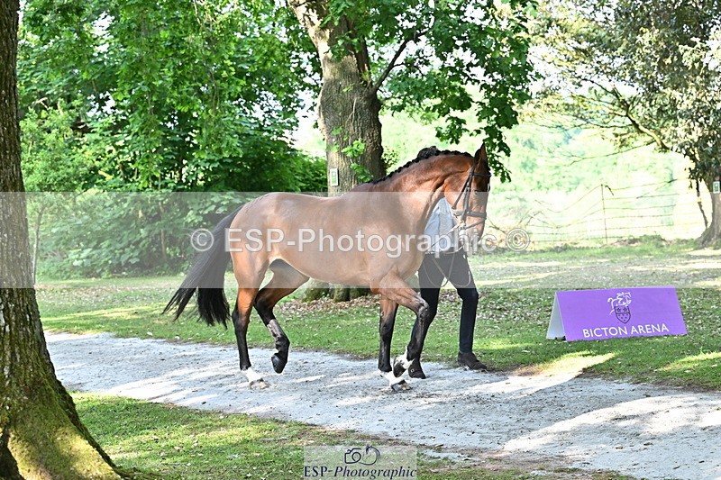 250521A-165129-01381 - C-269-Tom.Grant-NEW.NINI