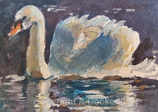 Swan - Sketches