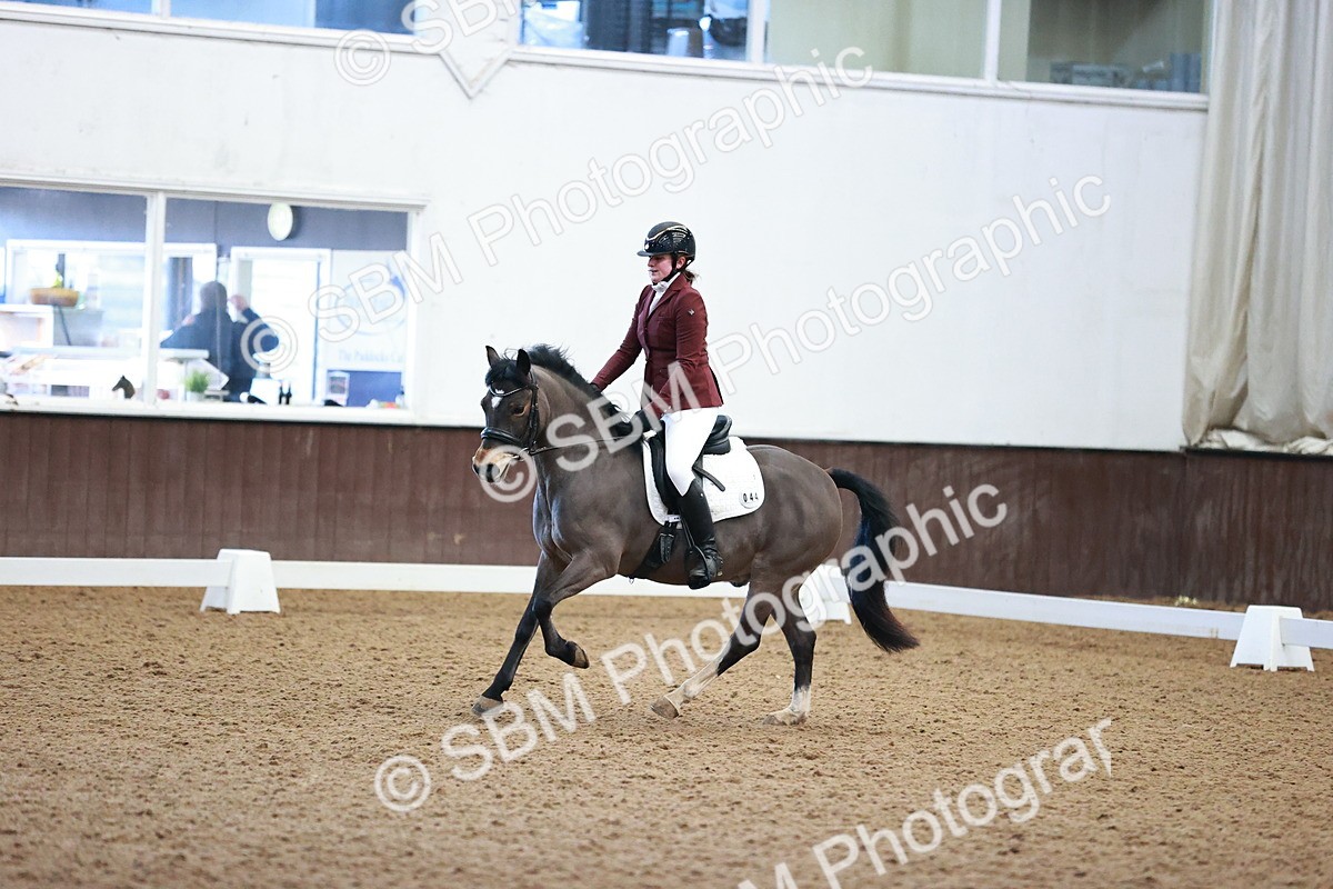 SBM_000243 - Class 4 - Novice 5