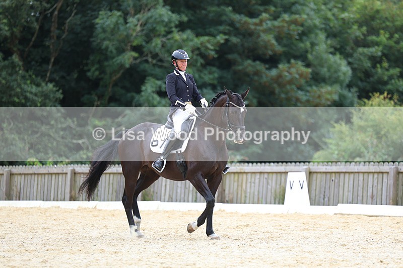 3E7A7287 - Class 9: Elementary 4 2024 - No sections