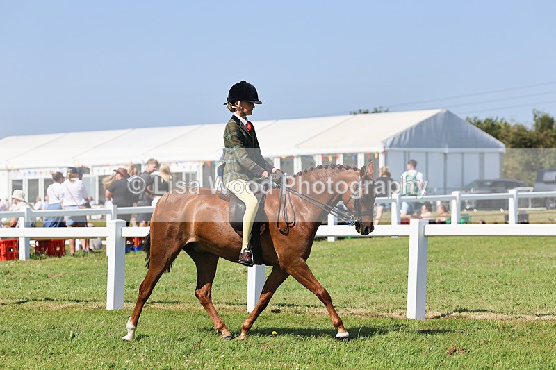 IMG_1988 - Class 34: Show Hunter Pony 153cm and under