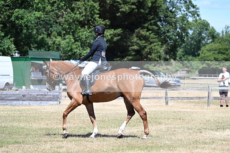 WJ7_2909 - Class 7 Riding Club Show Horse