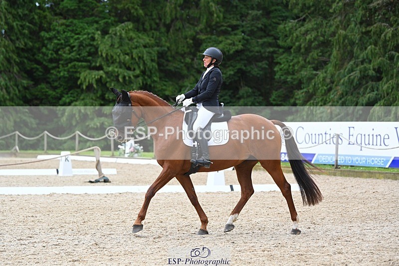 230813-142938-07769 - Cls 13 Medium Bronze 13.15 to End