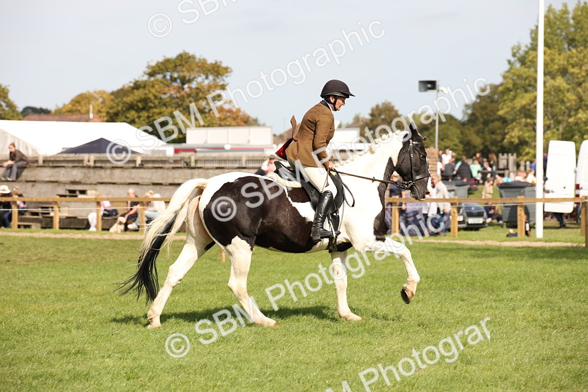 SBM_70124 - S65 - Piebald & Skewbald Horse Ridden