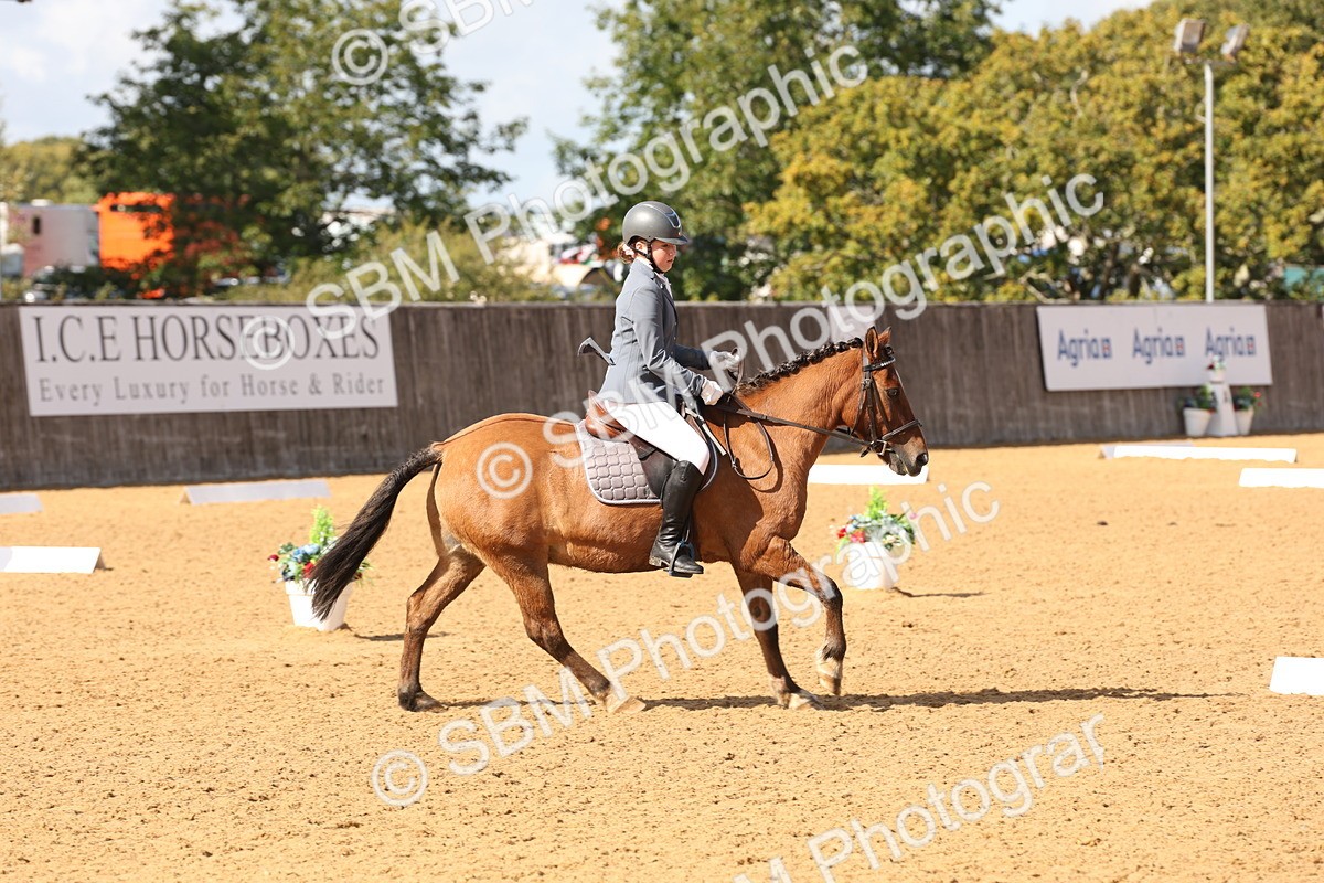 SBM_47430 - D12 - Small Tour Championship prelim 2