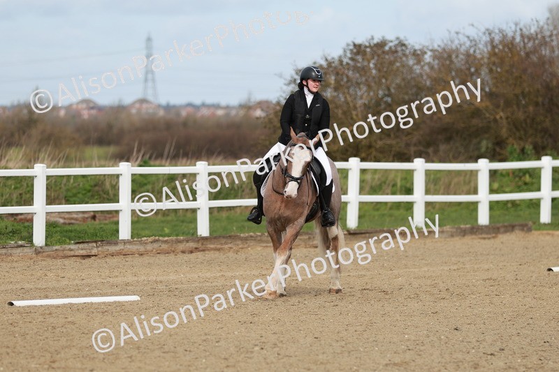 20260314-2769 - DR3 - Prelim 1