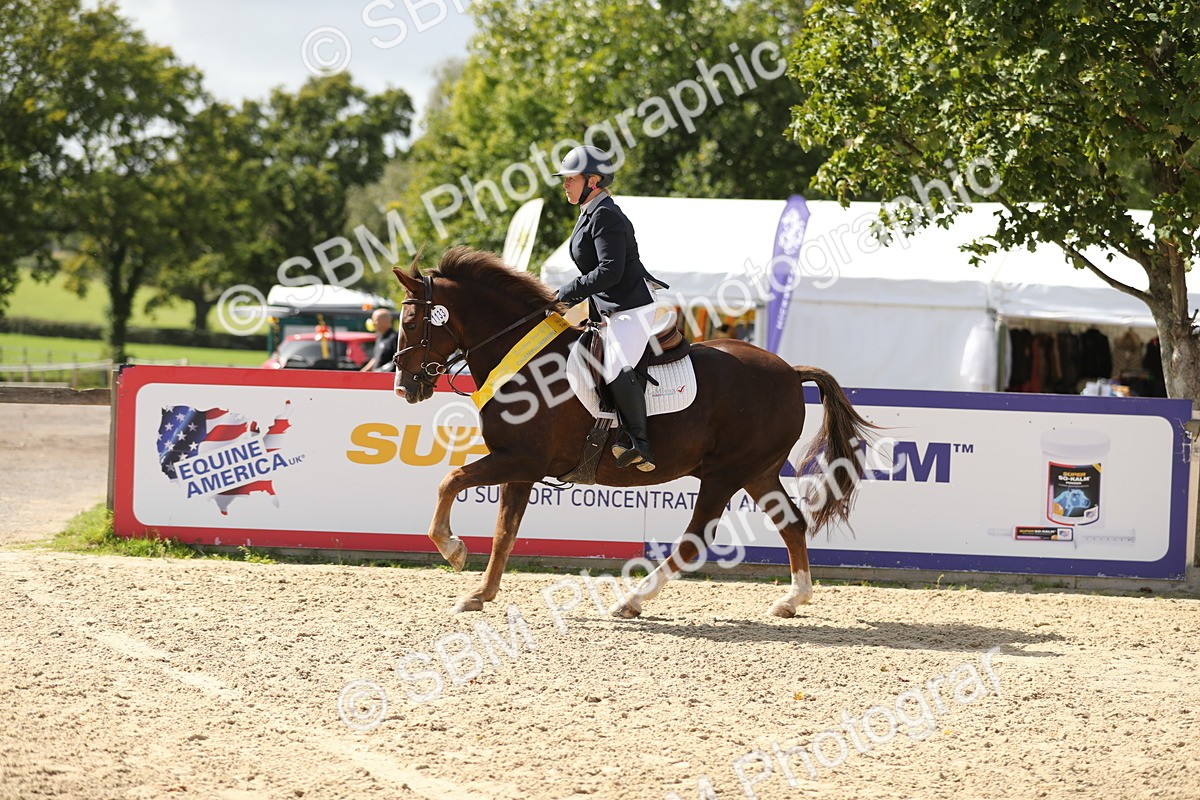 SBM_05845 - J35 - Veteran Rider 60cm